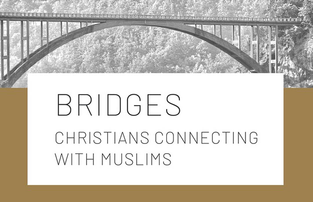 bridges2 image