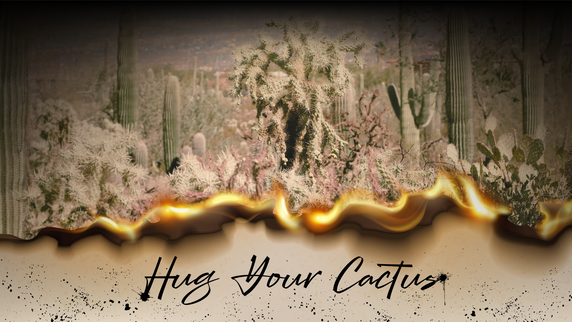 Hug Your Cactus