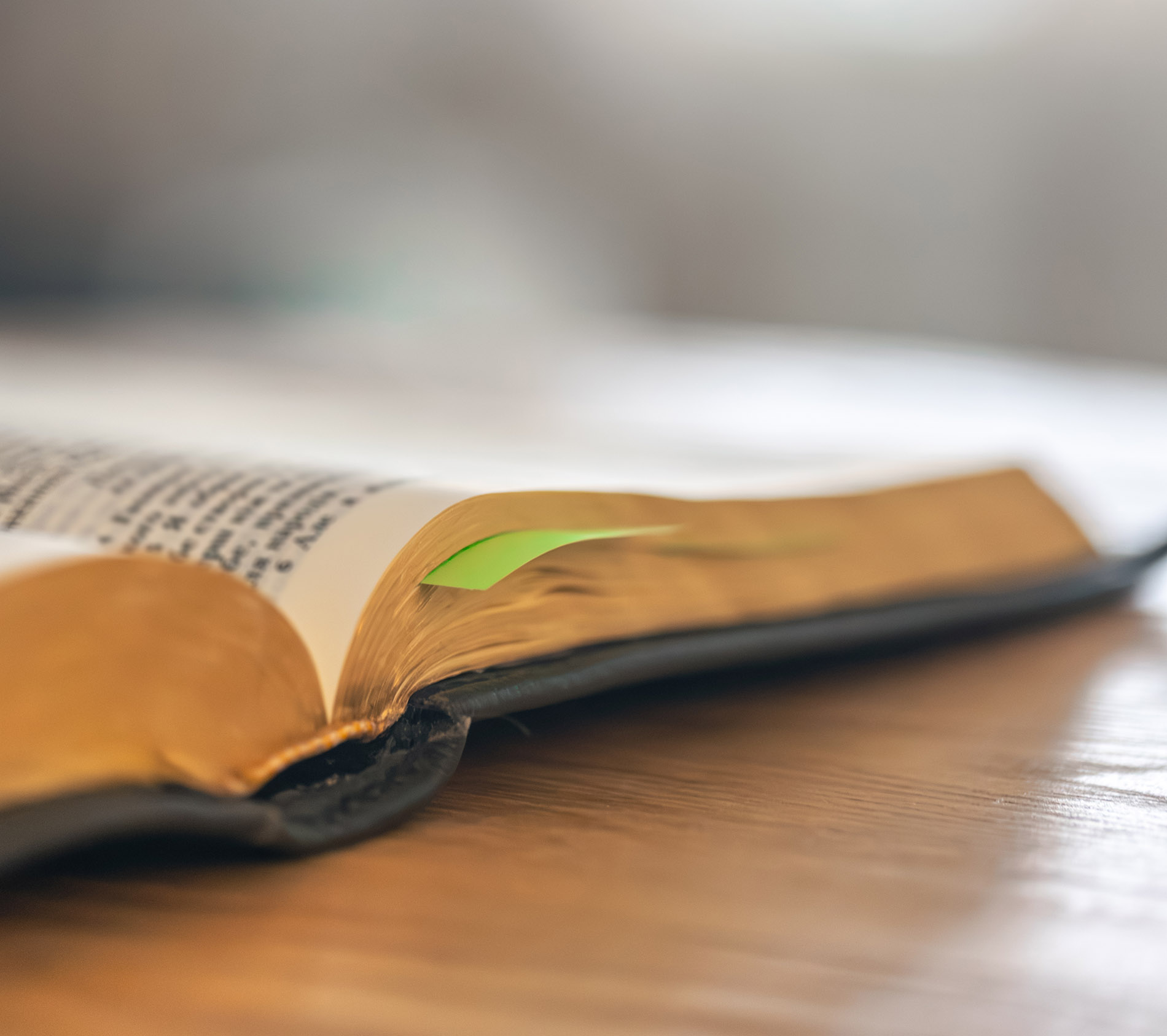 bible_open image