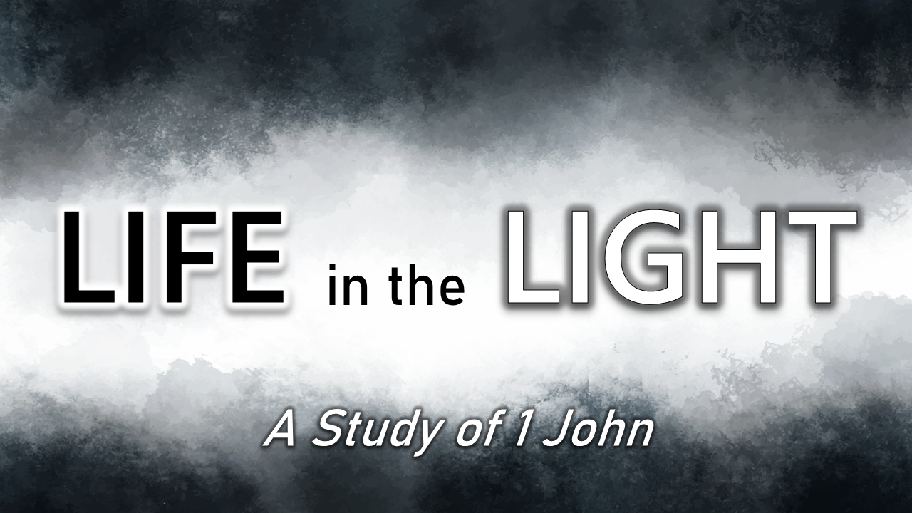 Life in the Light image