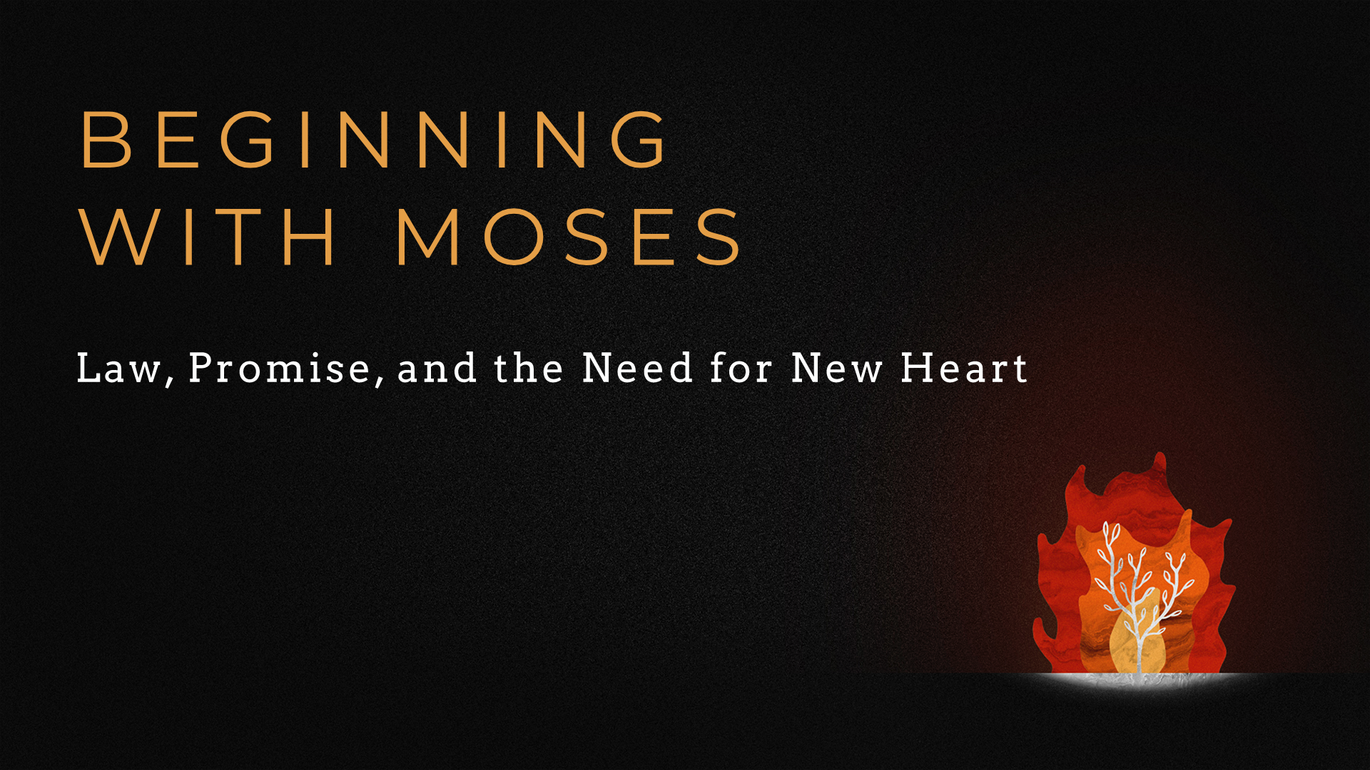 Beginning with Moses: Law, Promise, and the Need for a New Heart banner