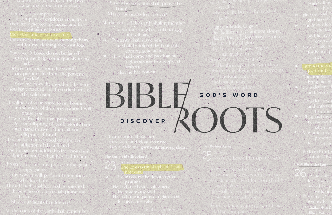 Bible Roots banner