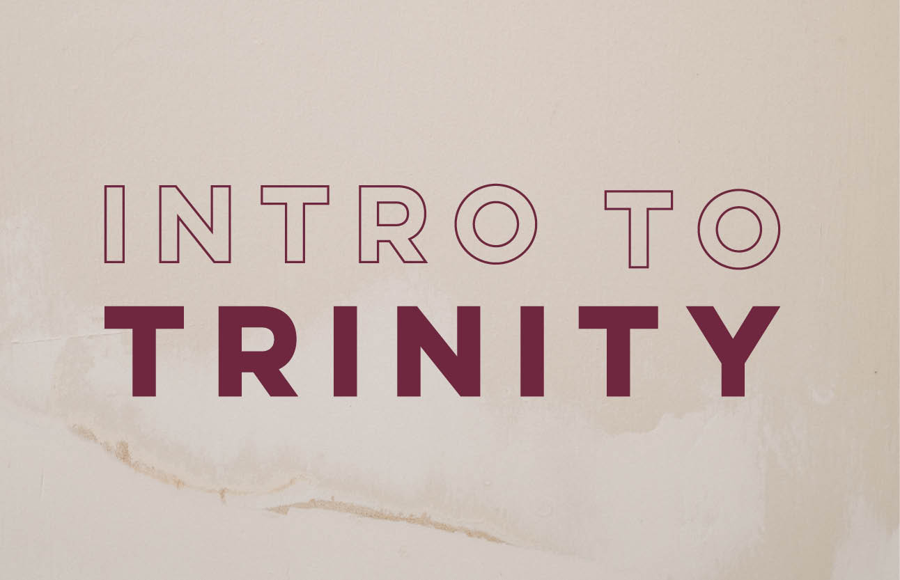 IntroToTrinity-Event image