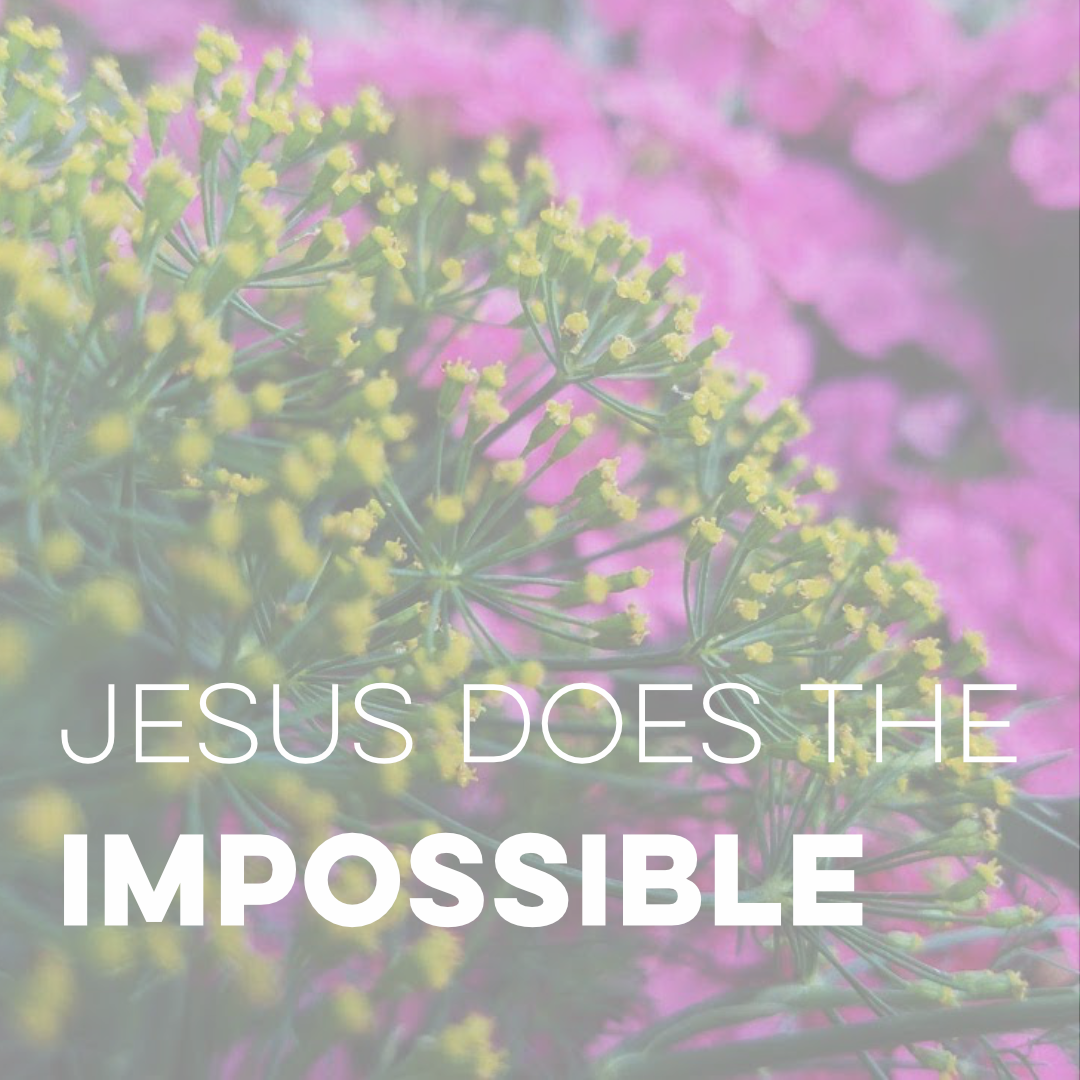 Jesus Does the Impossible