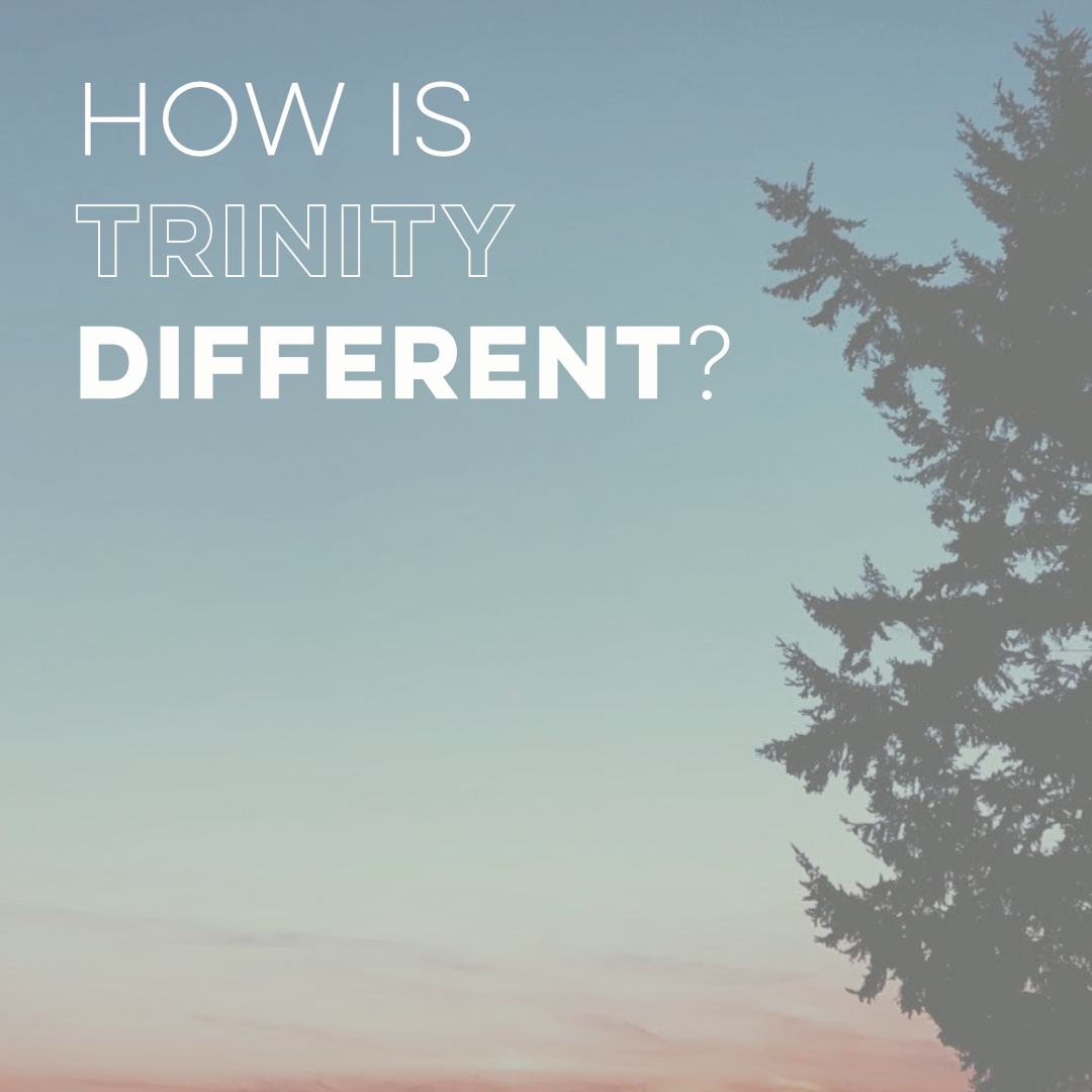 Social Media - 2.16.18 - How is Trinity Different?
