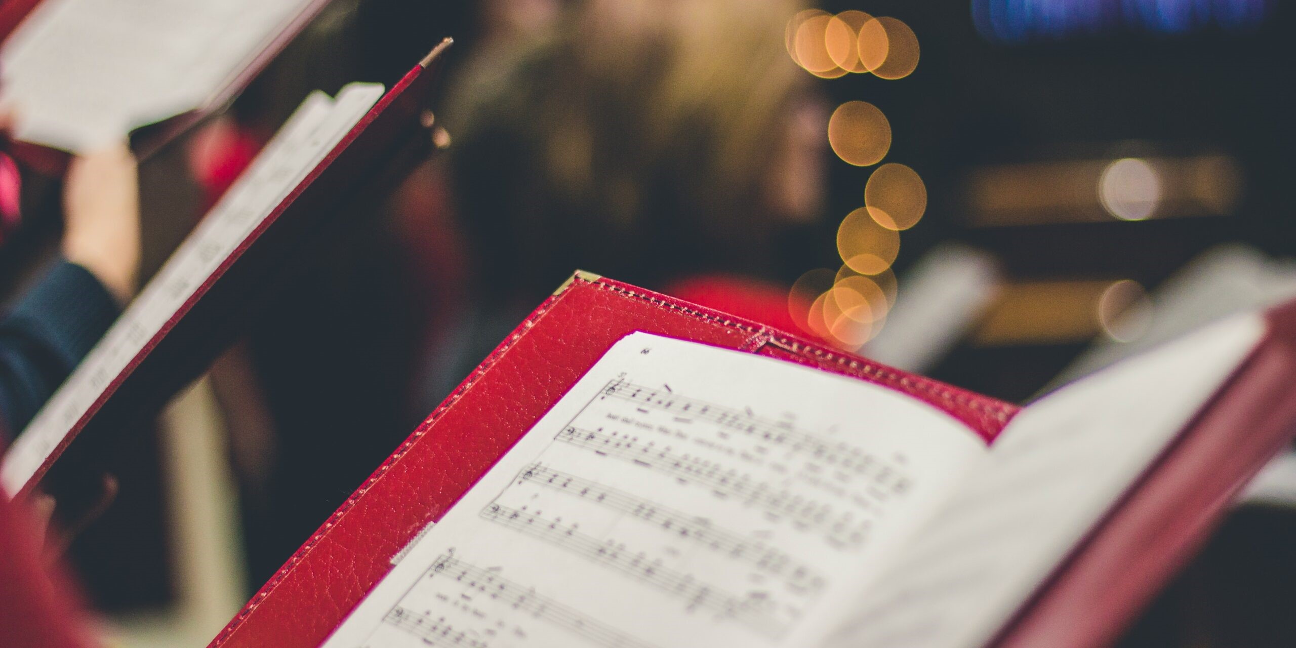 david-beale-gOsGgt4olNs-unsplash-2560x1440