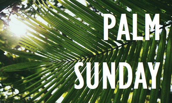 1.palm.sunday.too image