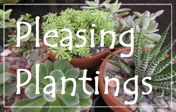 Pleasing.Plants image