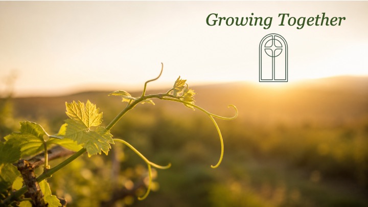 Growing Together Field Vine logo