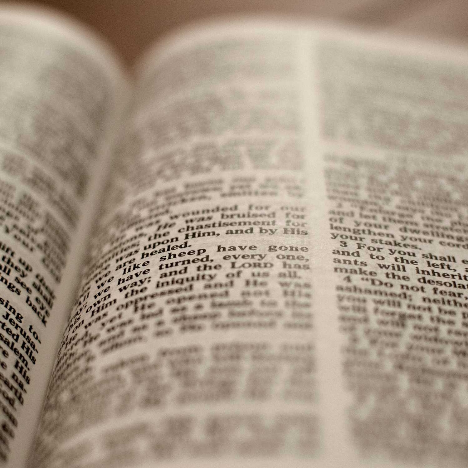 Sermon Archive