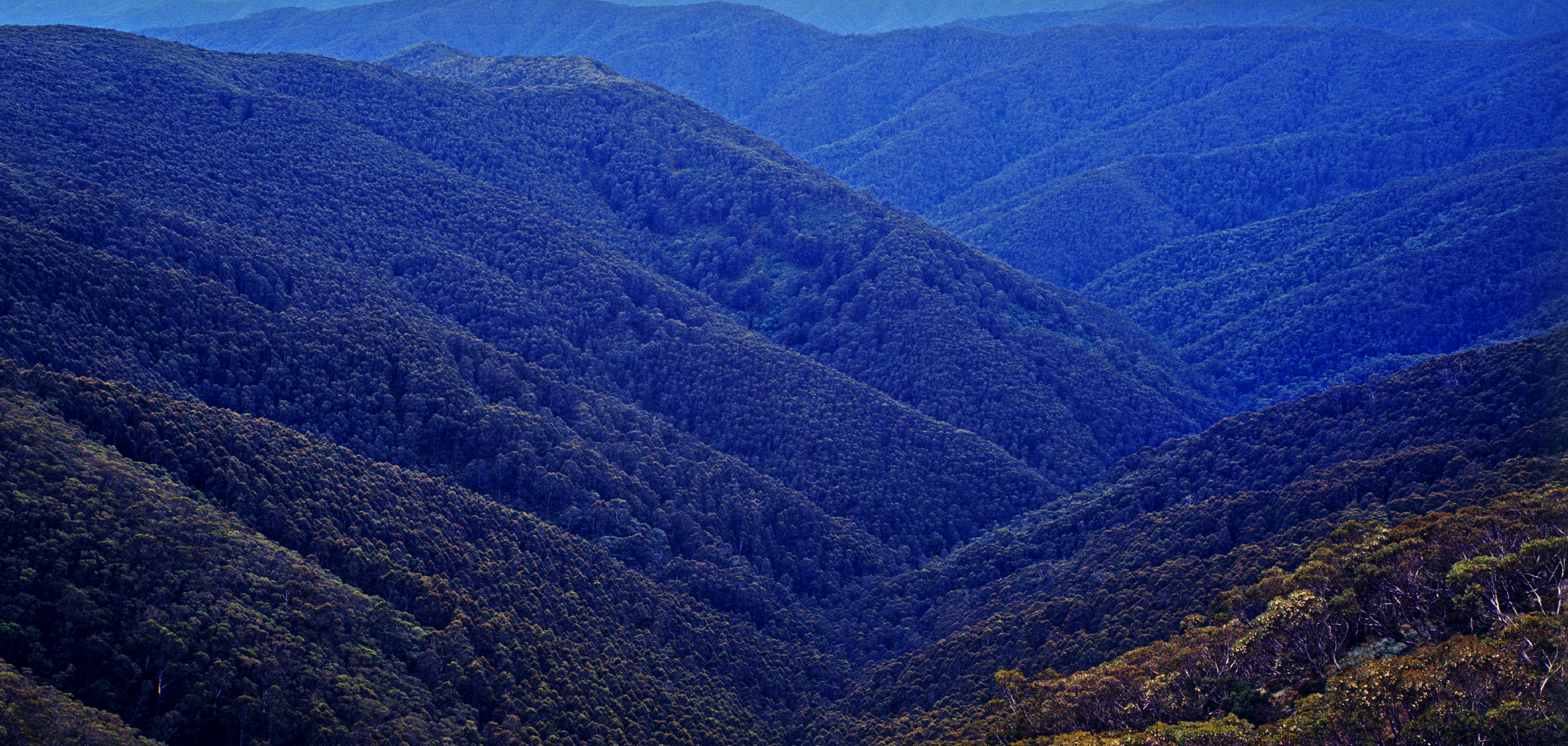 Valley Background Image