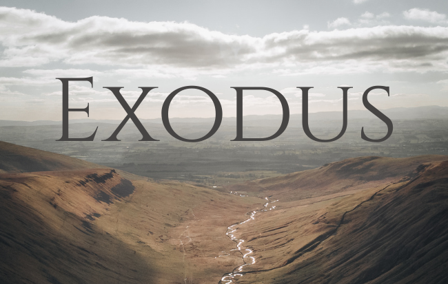 Exodus series image