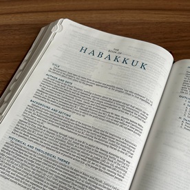 Habakkuk series image