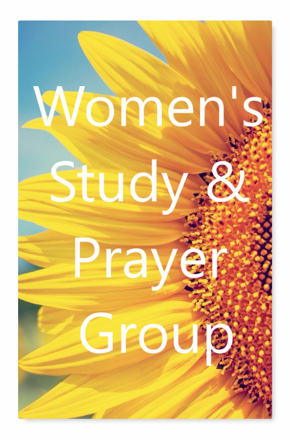 Women_s Small Group image