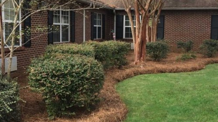 medium_image-1768933463200