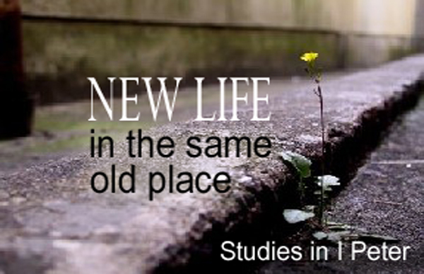 New Life in the Same Old Place (I Peter) banner