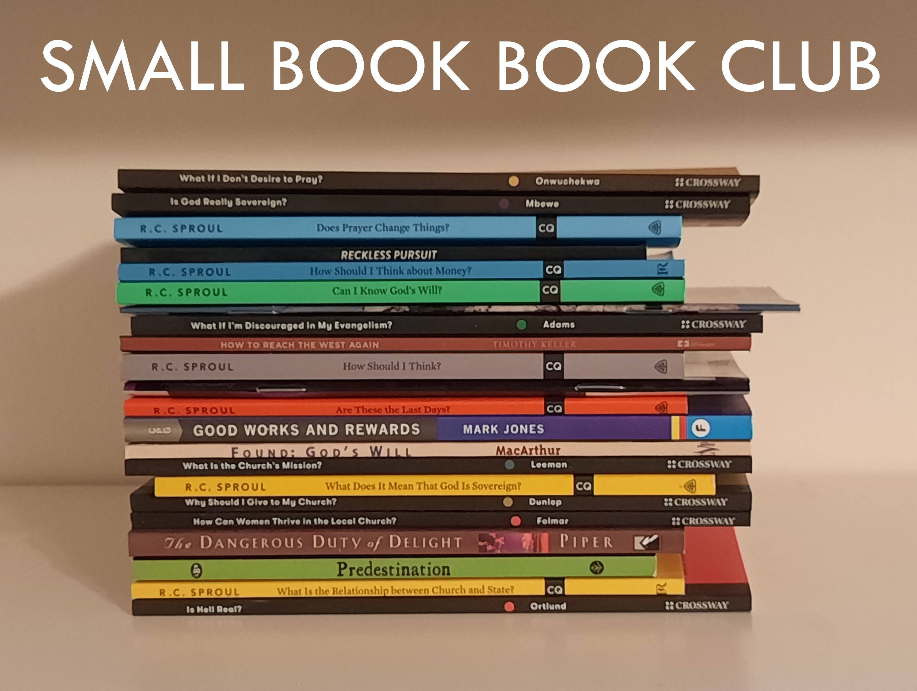 SMALL BOOK BOOK CLUB badge image