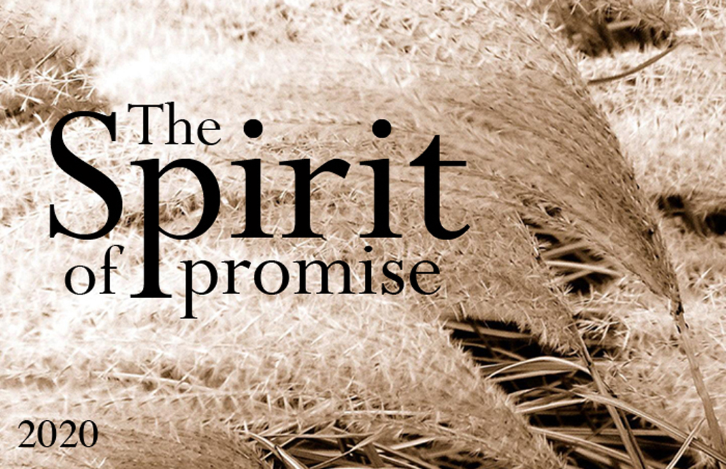 The Spirit of Promise (2020) banner