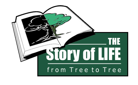 Story of Life Full Logo FINAL color copy