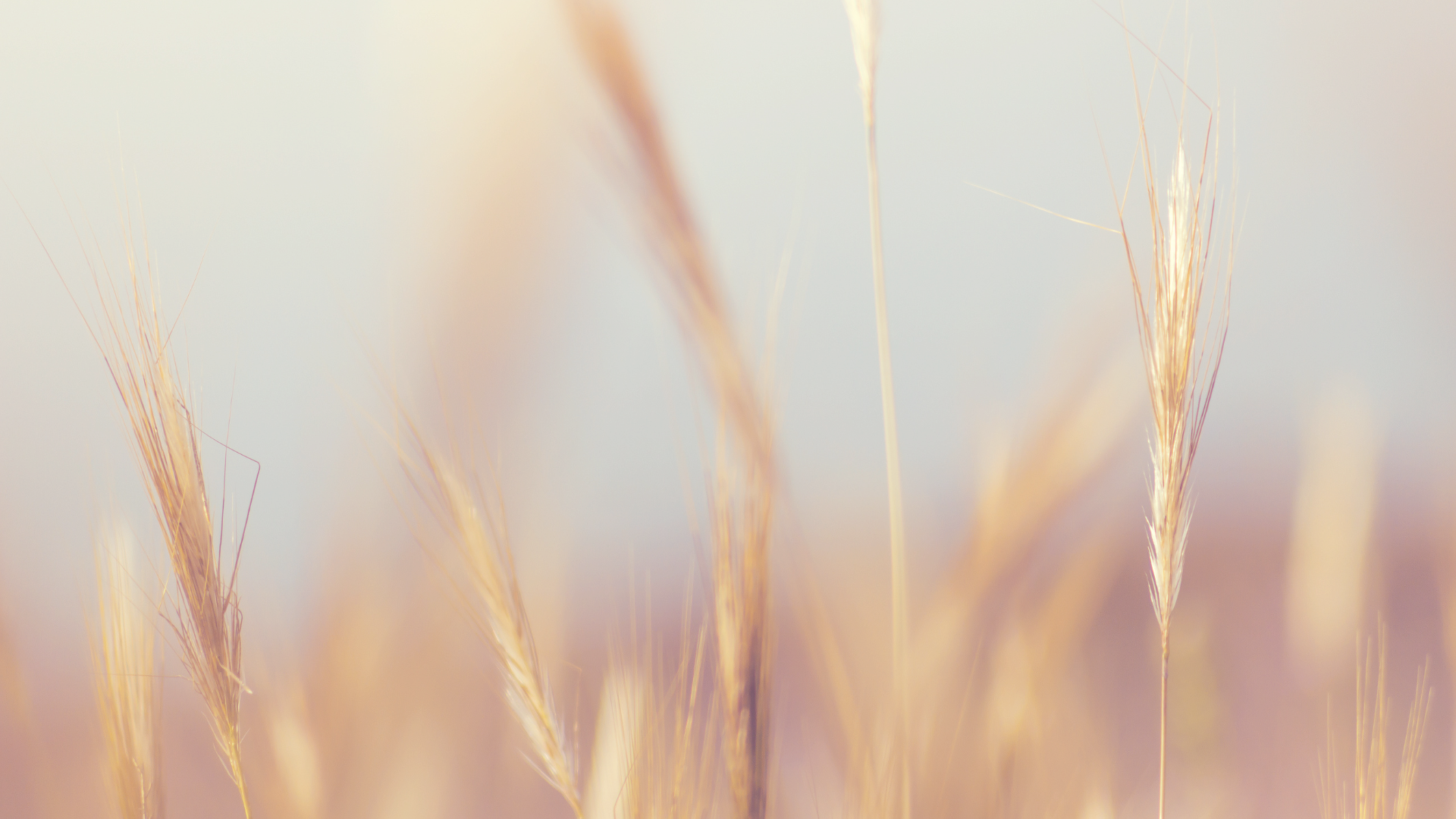 sermon banner image