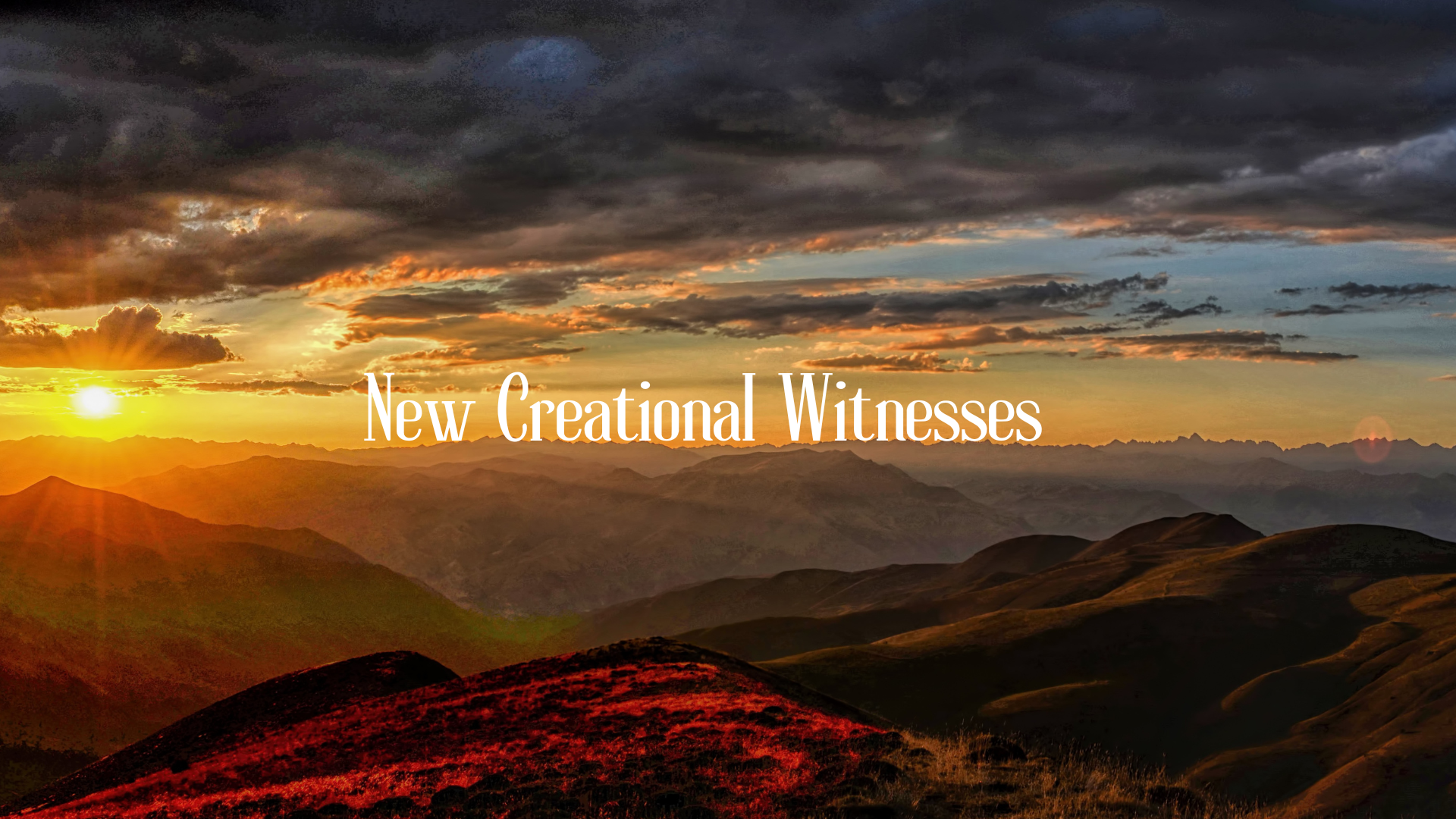 New Creational Witnesses series image