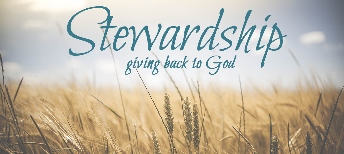 stewardship-wheat-1845835