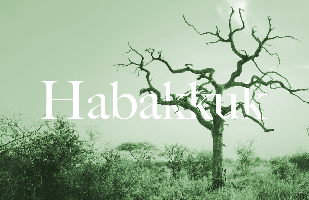 Habakkuk series image