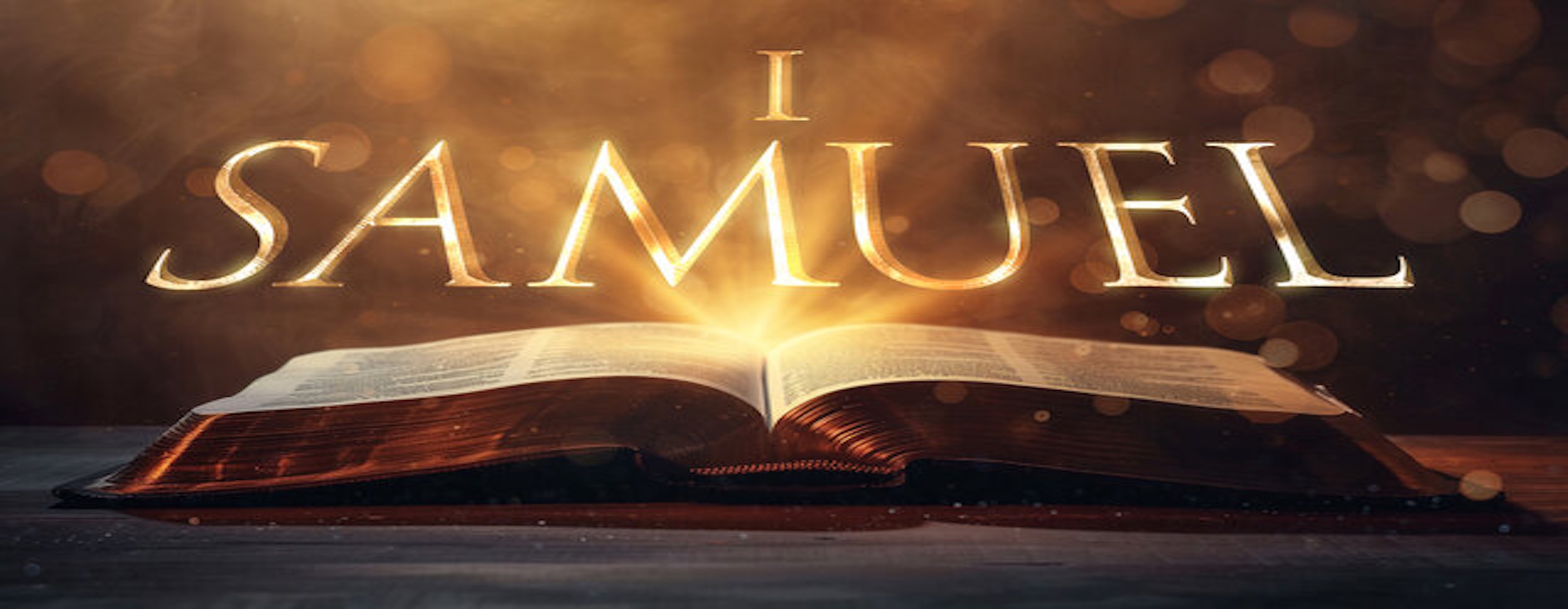 I Samuel series image