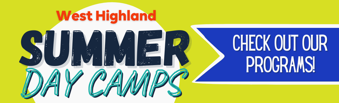 Camp 2025 - page header