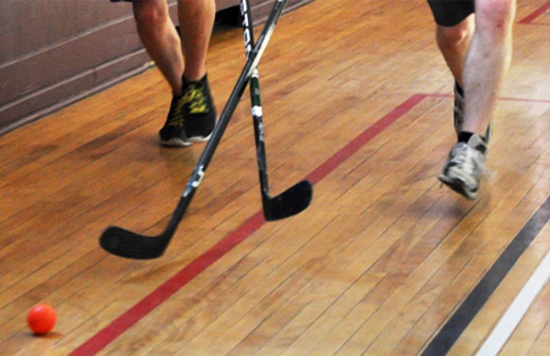 Floor Hockey image
