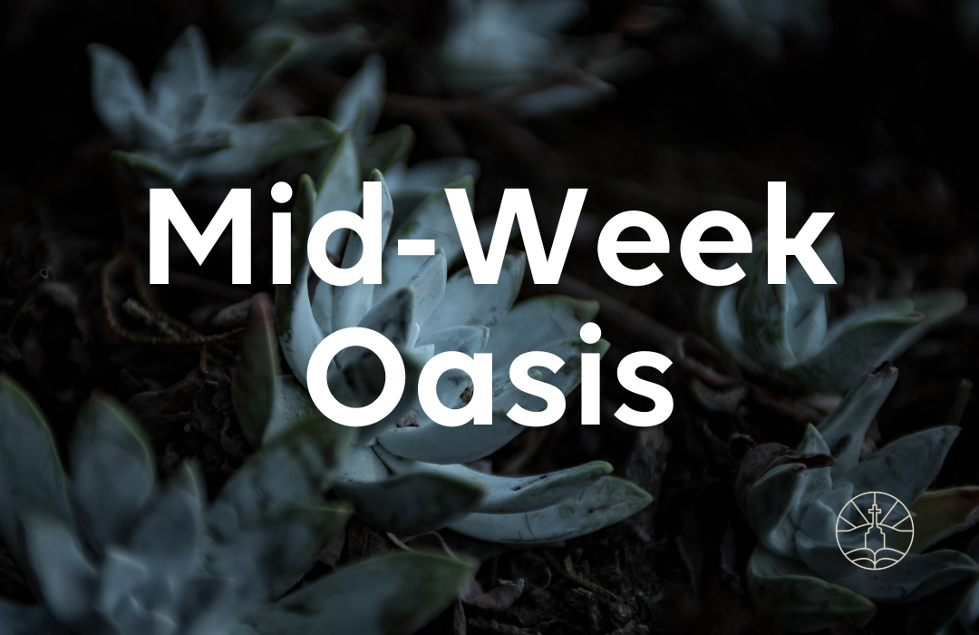 Mid-Week Oasis Image image