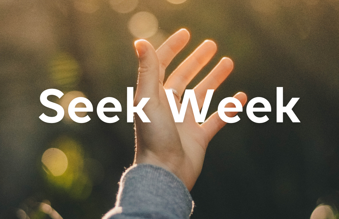 Seek Week Image image