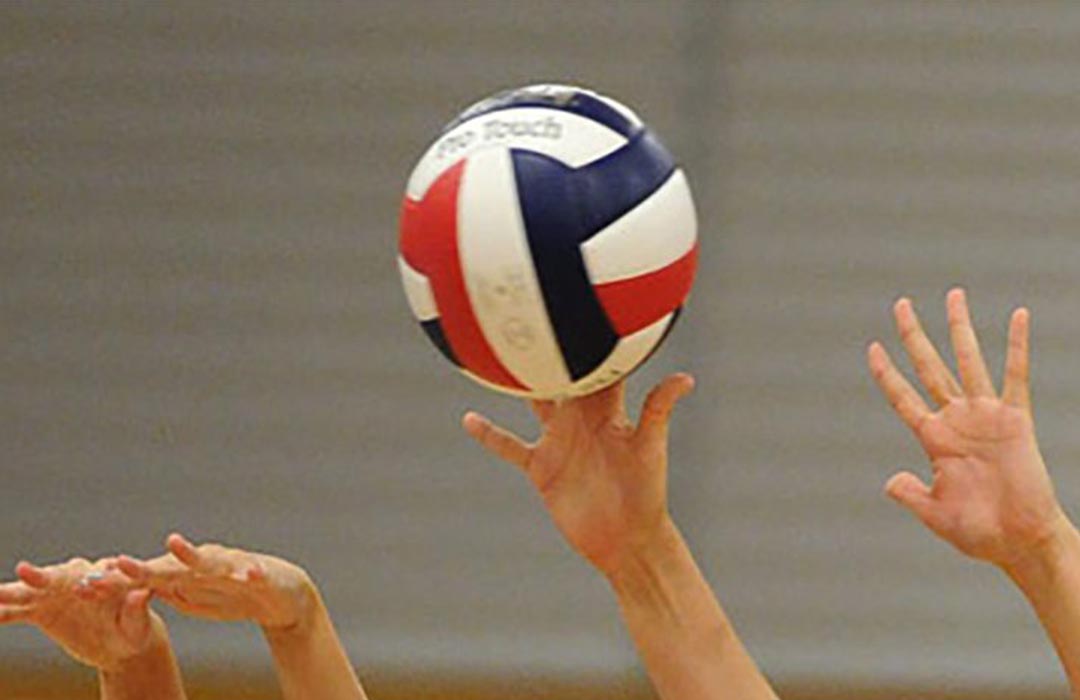 Volleyball image