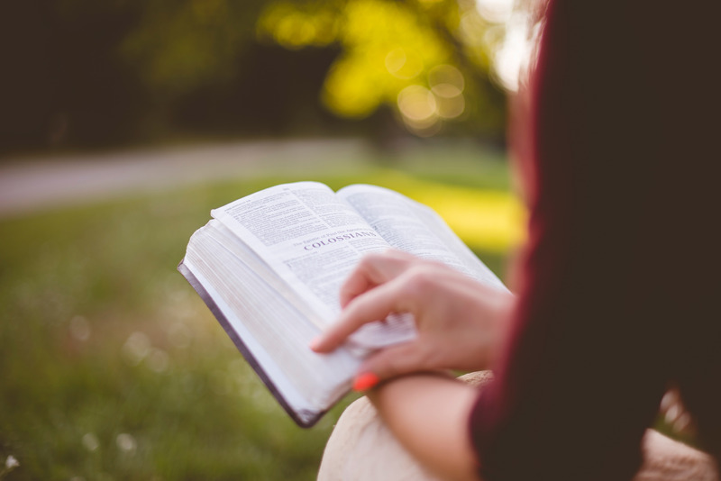 Canva - Woman Reading a Bible Outdoors