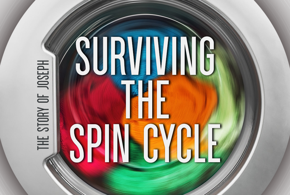 Surviving The Spin Cycle banner