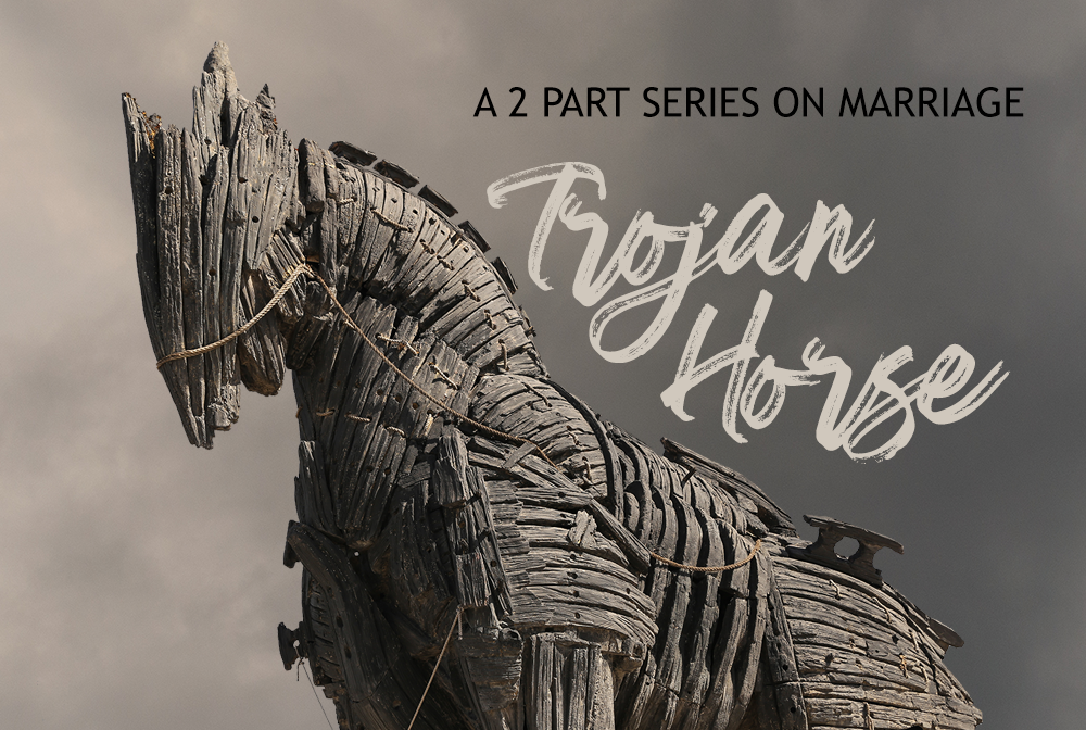 Trojan Horse banner