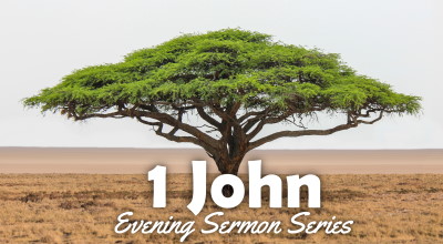 1 John series image