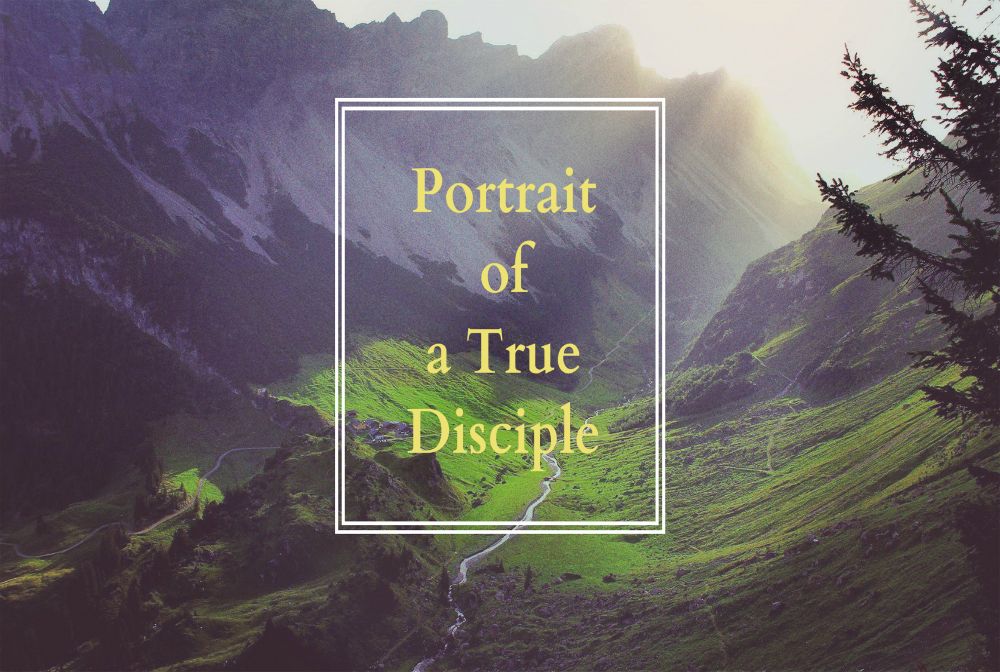 Portrait of a True Disciple banner