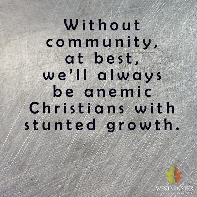 quote107 - 2016