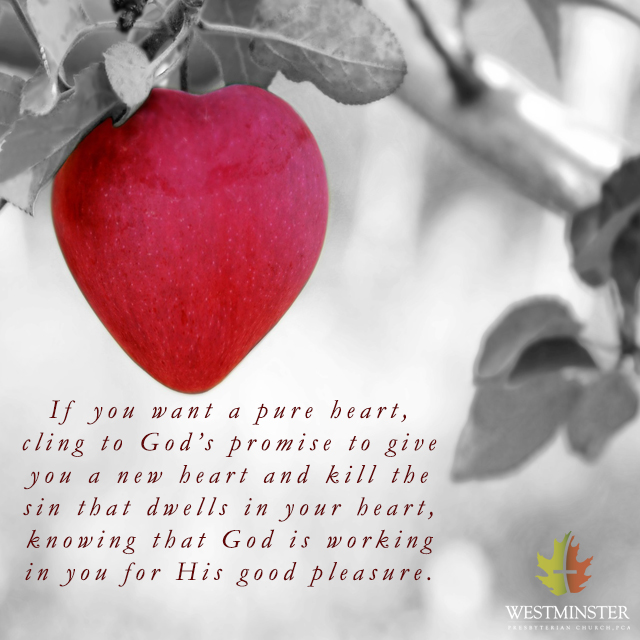 quote115 - BA Pure in Heart