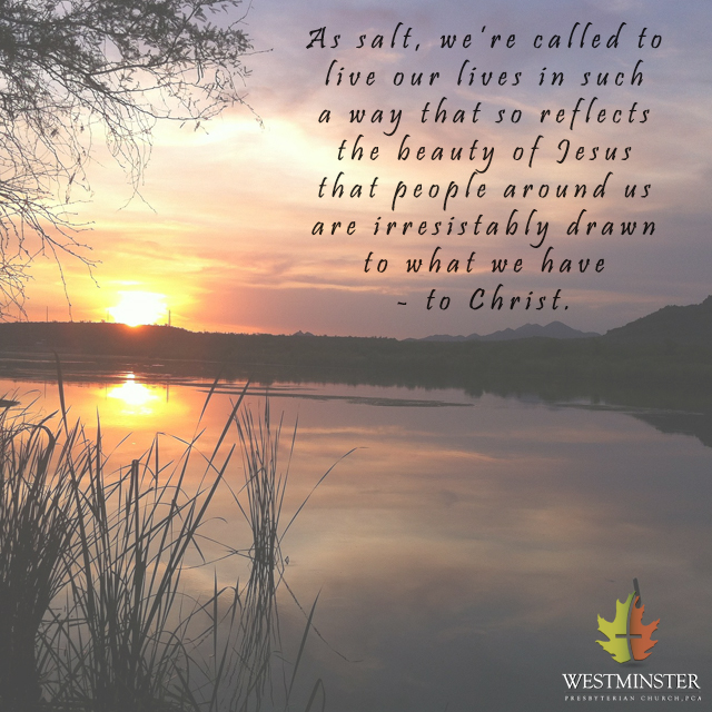 quote118 - Salt of the Earth
