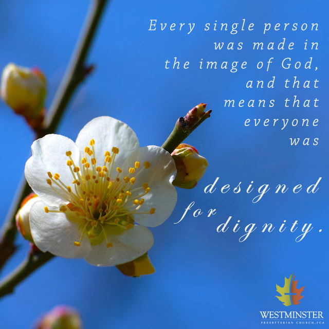 quote121 - RR Anger
