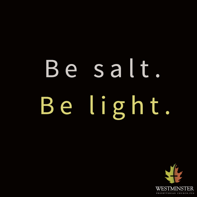 quote41 - Light of the World