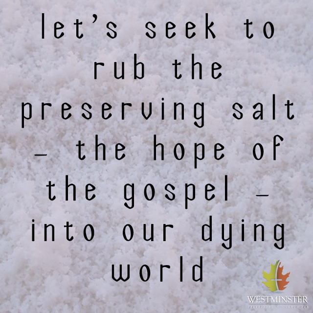 quote56 - Salt of the Earth