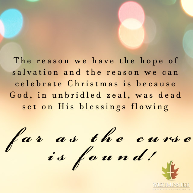 quote75 - Far As the Curse if Found 1