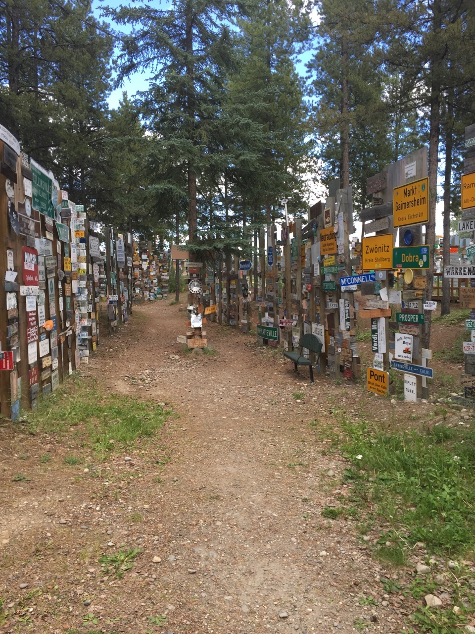 Sign Forest (2)