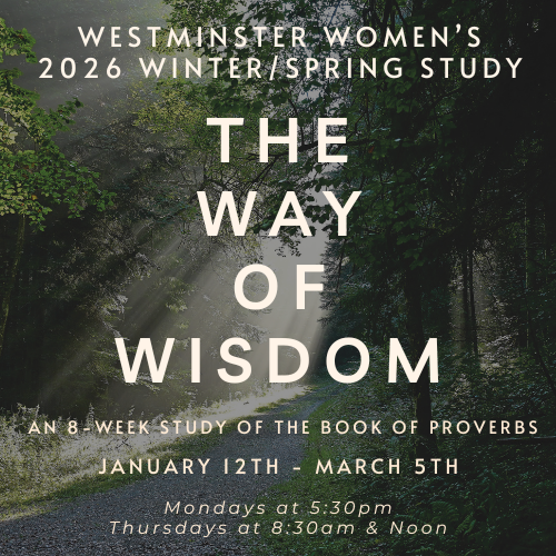 Way of Wisdom Study image