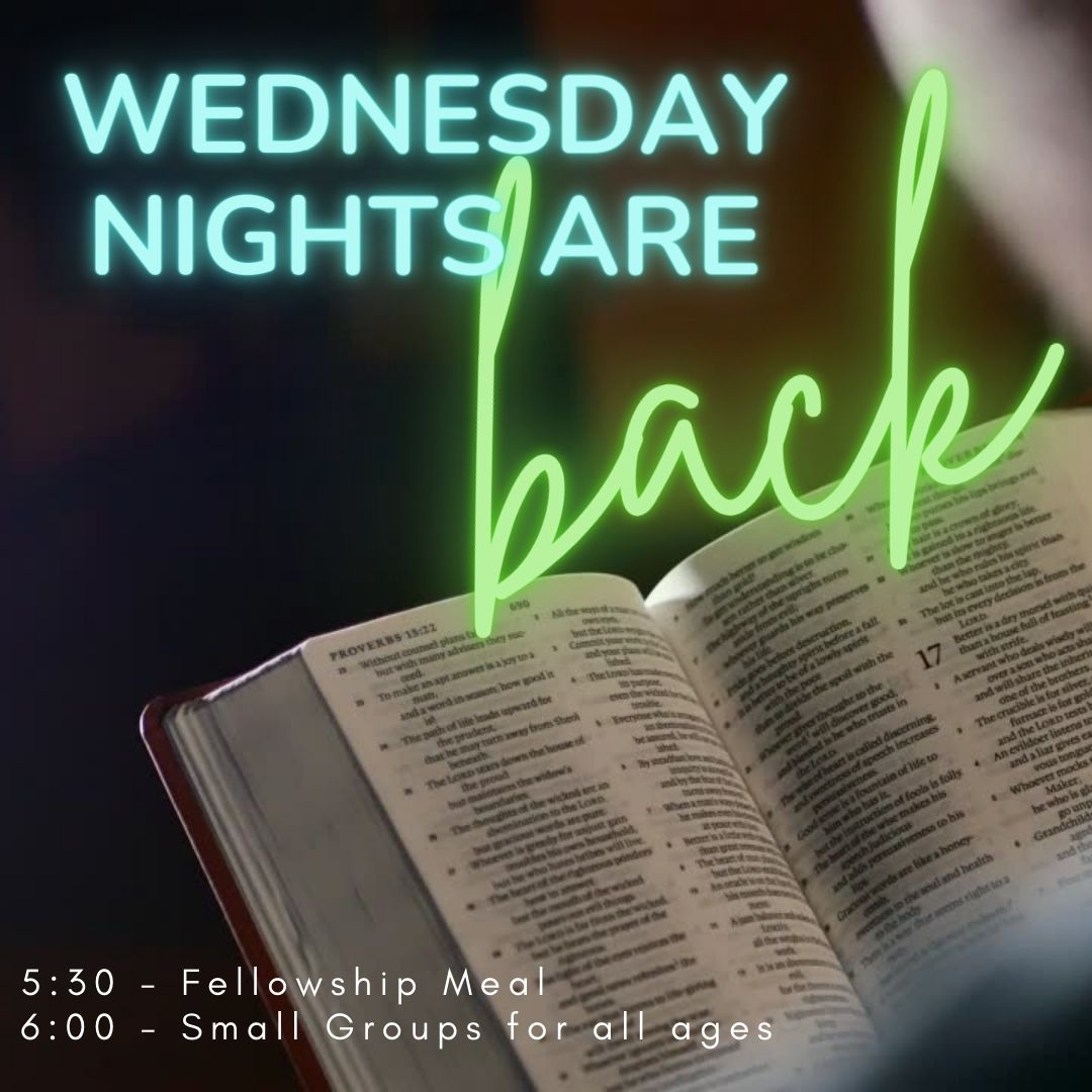 Wednesday Nights are BACK!