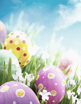 Easter Egg Hunt Rotator image