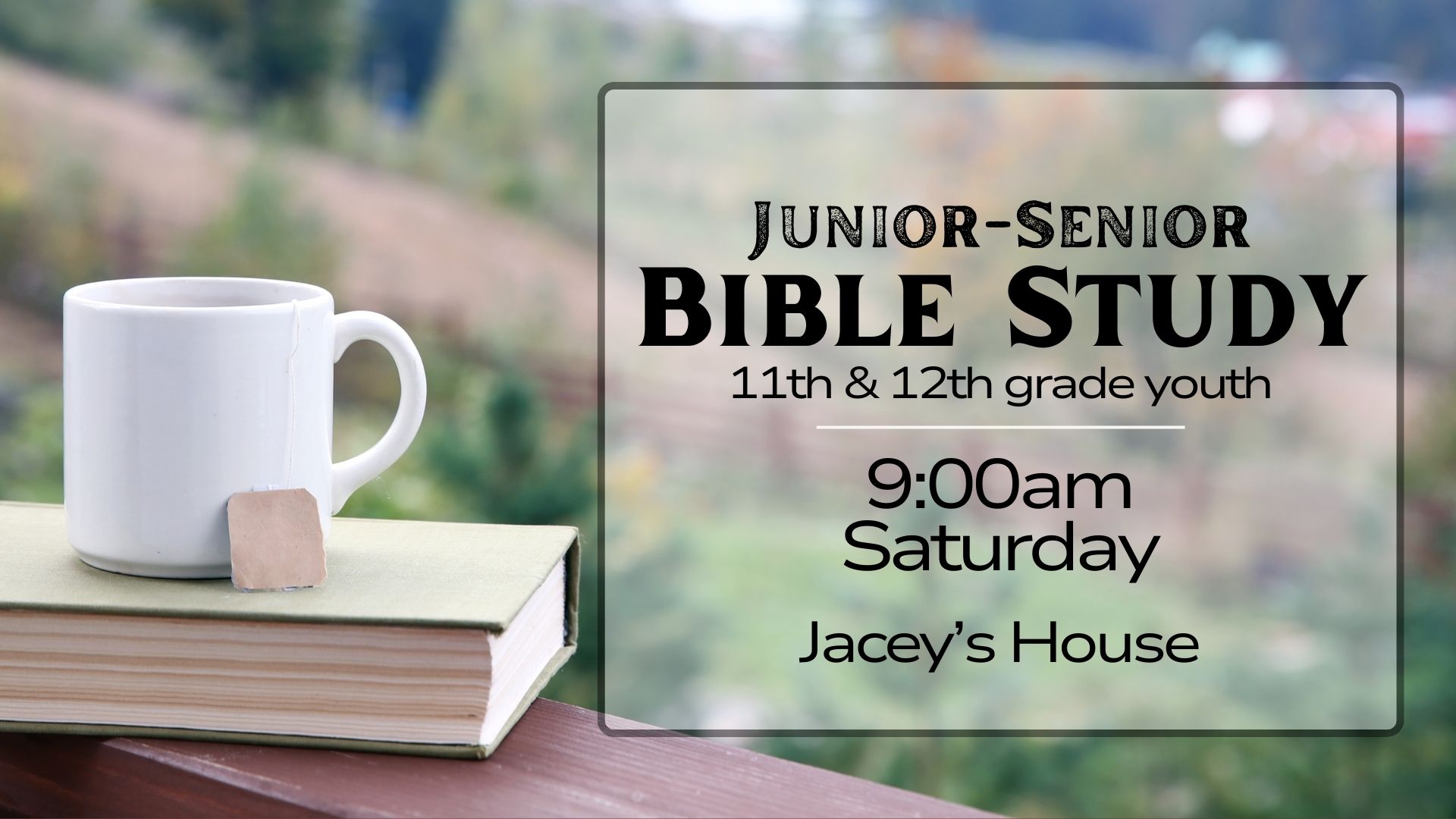 Youth Spring 25 Saturday Junior-Senior Study General